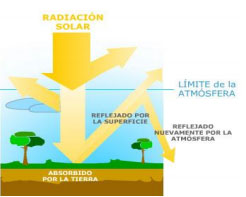 Biodiversidad